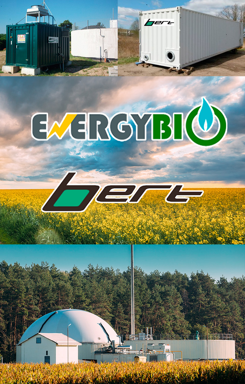 energy_bert